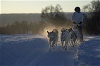 Dog sledding. Photo:Terje Rakke, Nordic Life/Innovation Norway